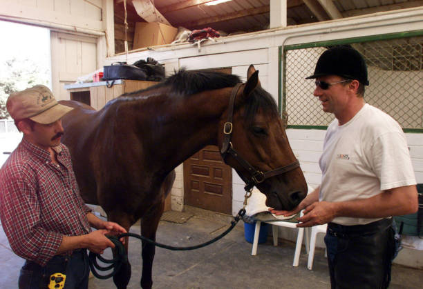 photo-Joe Montana 2001