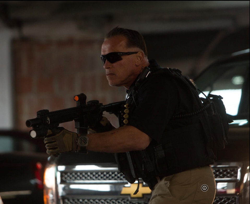 photo-Arnold Schwarzenegger 2014