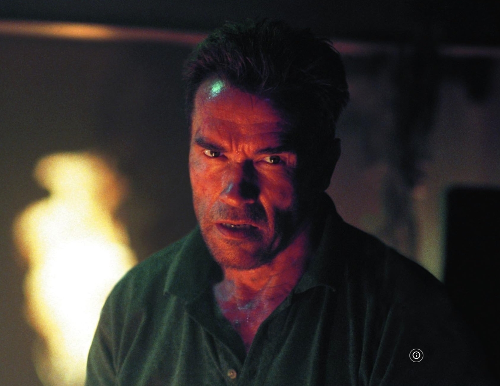 photo-Arnold Schwarzenegger 2002