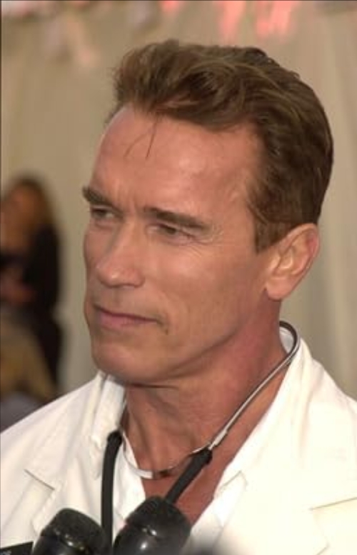 photo-Arnold Schwarzenegger 2003