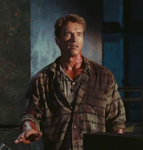 photo-Arnold Schwarzenegger 1990