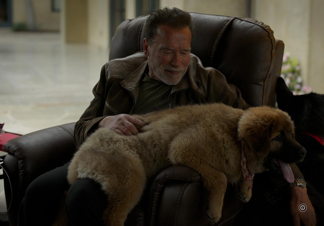 photo-Arnold Schwarzenegger 2023