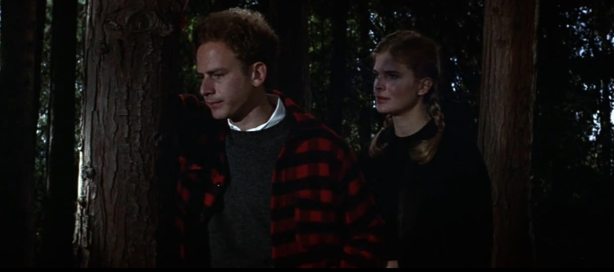 photo-Art Garfunkel 1971