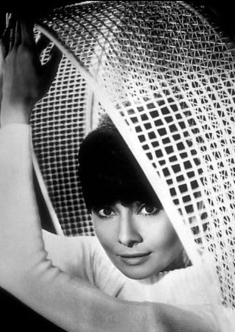 photo-Audrey Hepburn 1966