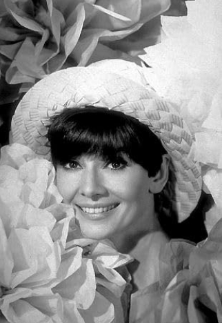 photo-Audrey Hepburn 1978