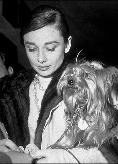 photo-Audrey Hepburn 1978