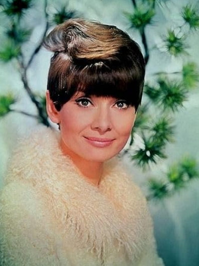 photo-Audrey Hepburn 1978