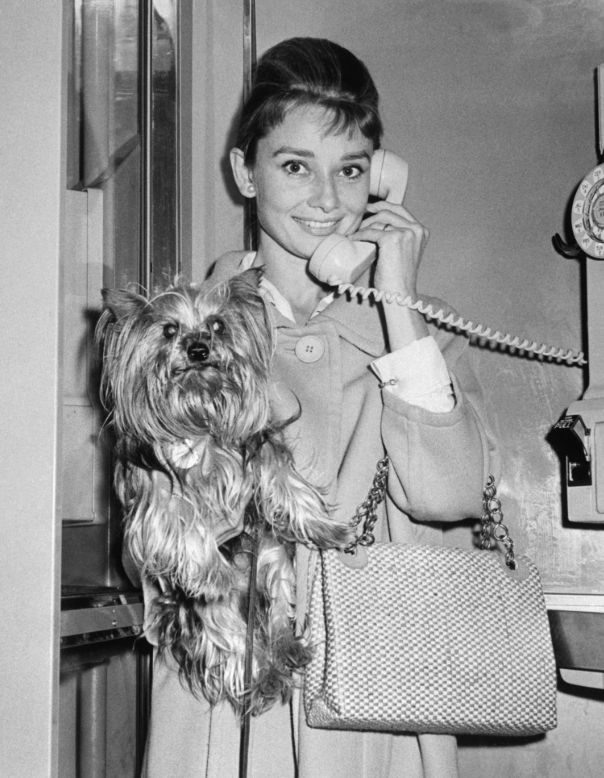 photo-Audrey Hepburn 1961