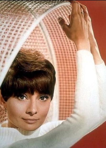 photo-Audrey Hepburn 1966