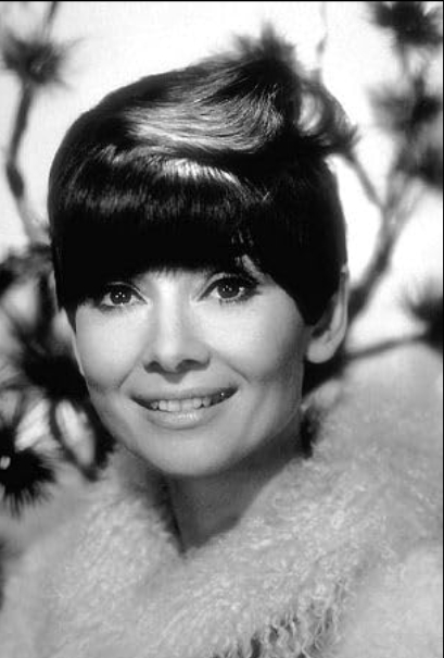 photo-Audrey Hepburn 1978