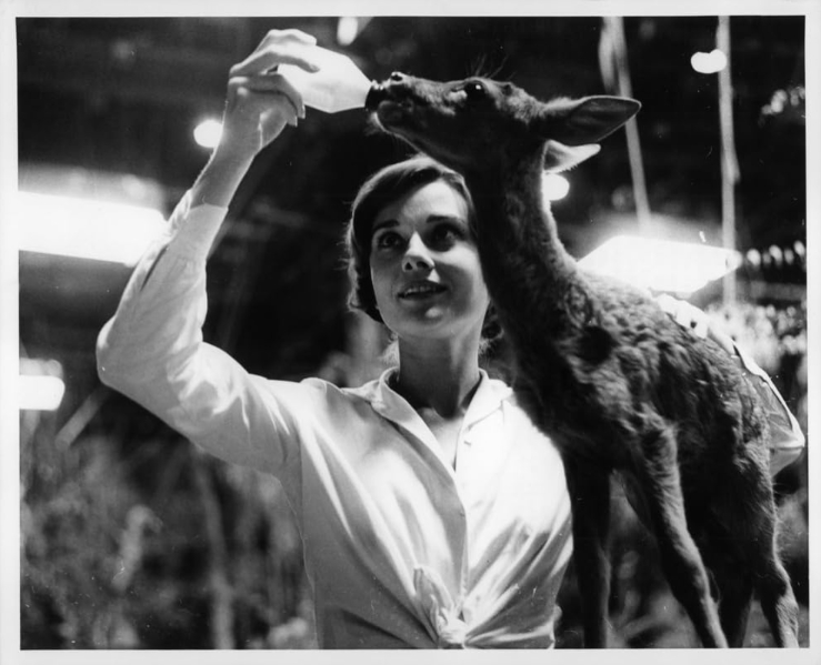 photo-Audrey Hepburn 1959