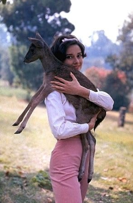 photo-Audrey Hepburn 1978