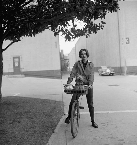 photo-Audrey Hepburn 1978