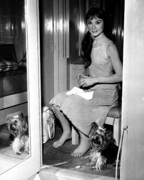 photo-Audrey Hepburn 1959