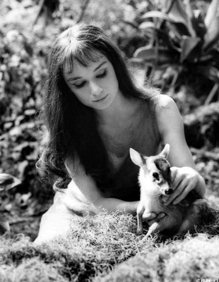 photo-Audrey Hepburn 1959