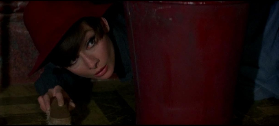 photo-Audrey Hepburn 1966