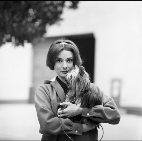 photo-Audrey Hepburn 1978