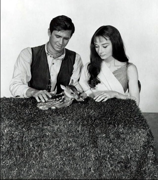 photo-Audrey Hepburn 1959