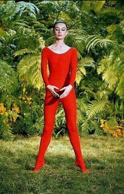 photo-Audrey Hepburn 1978