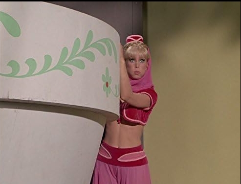 photo-Barbara Eden 1965