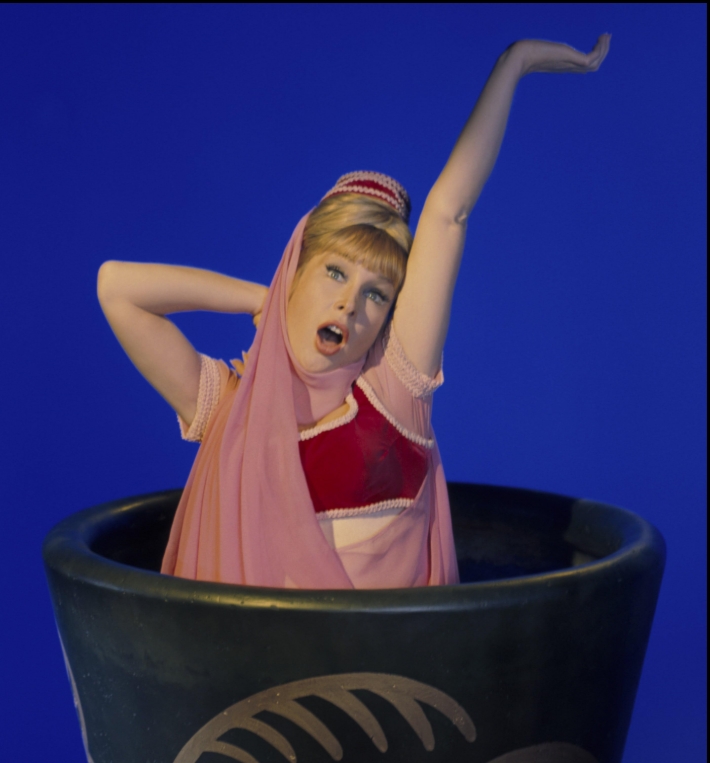 photo-Barbara Eden 1965