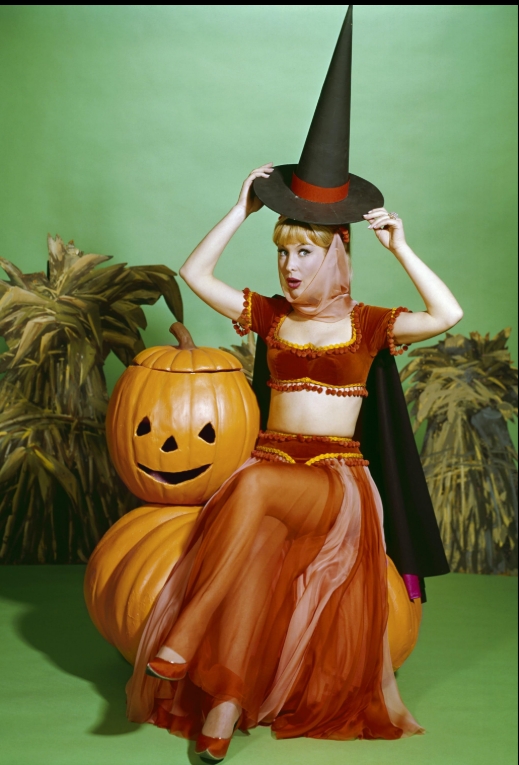 photo-Barbara Eden 1965