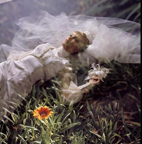 photo-Barbara Eden 1965