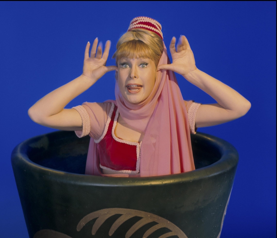 photo-Barbara Eden 1965