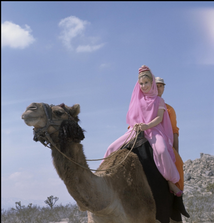 photo-Barbara Eden 1965