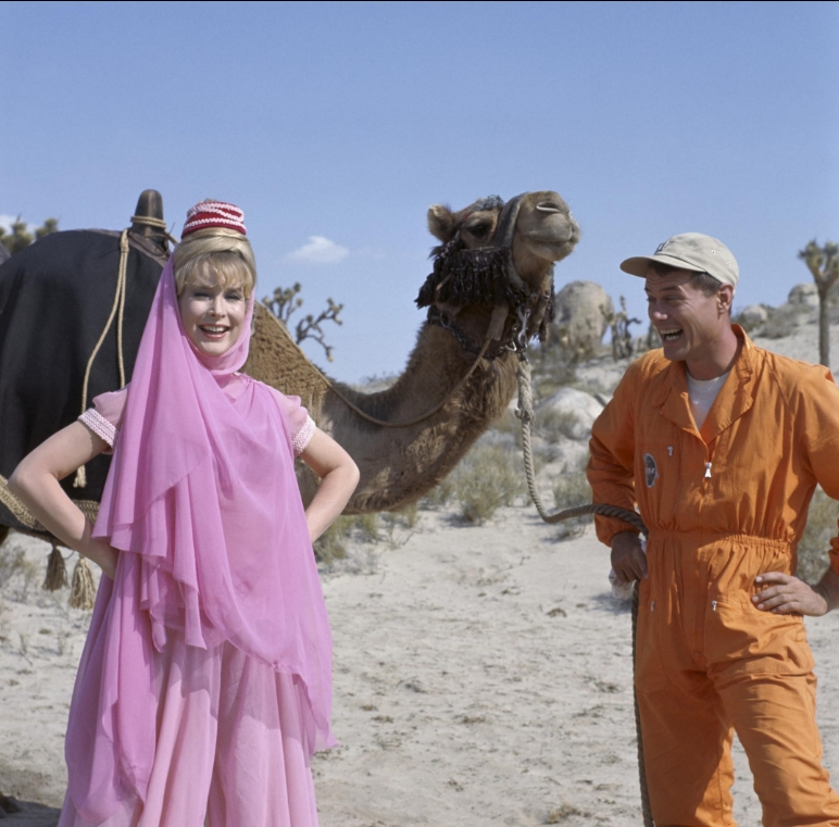 photo-Barbara Eden 1965