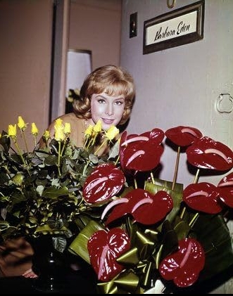 photo-Barbara Eden 1964