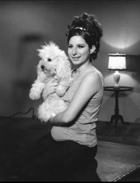 photo-Barbra Streisand 1969