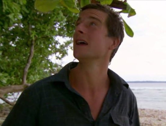photo-Bear Grylls 2006