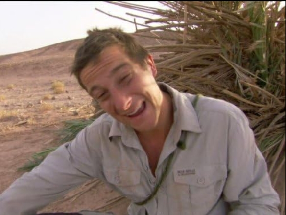 photo-Bear Grylls 2006