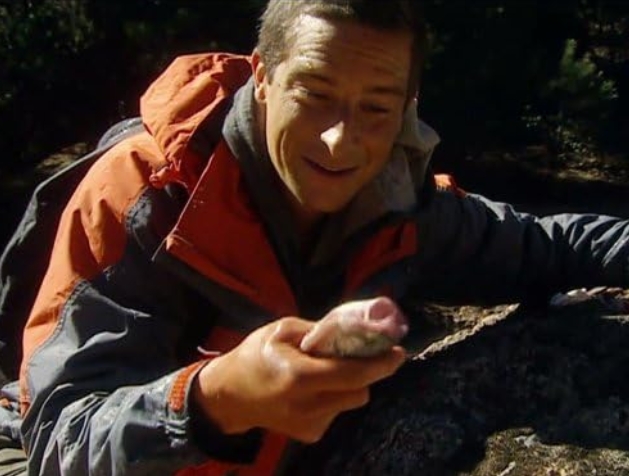 photo-Bear Grylls 2006