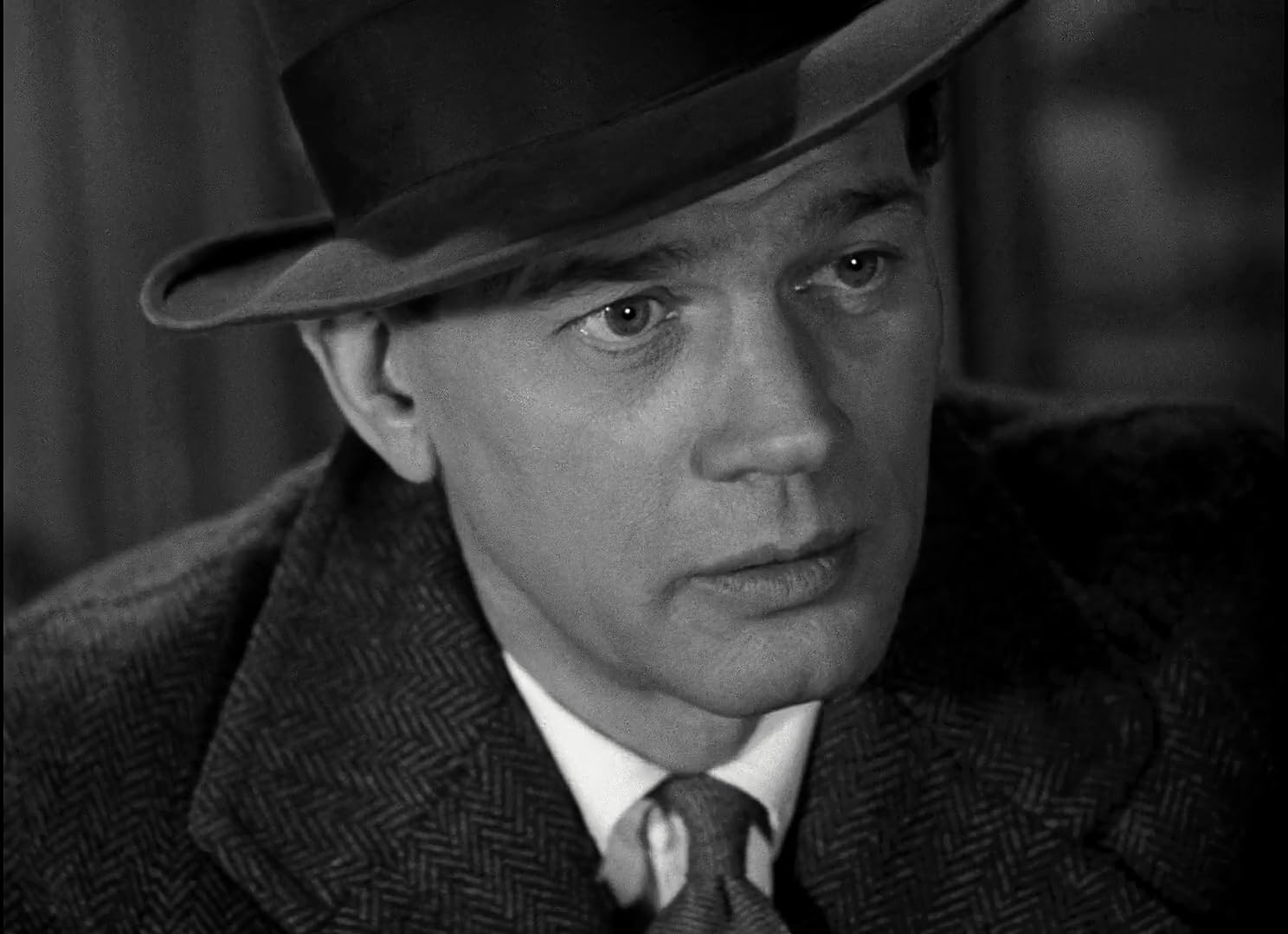 photo-Joseph Cotten 1949