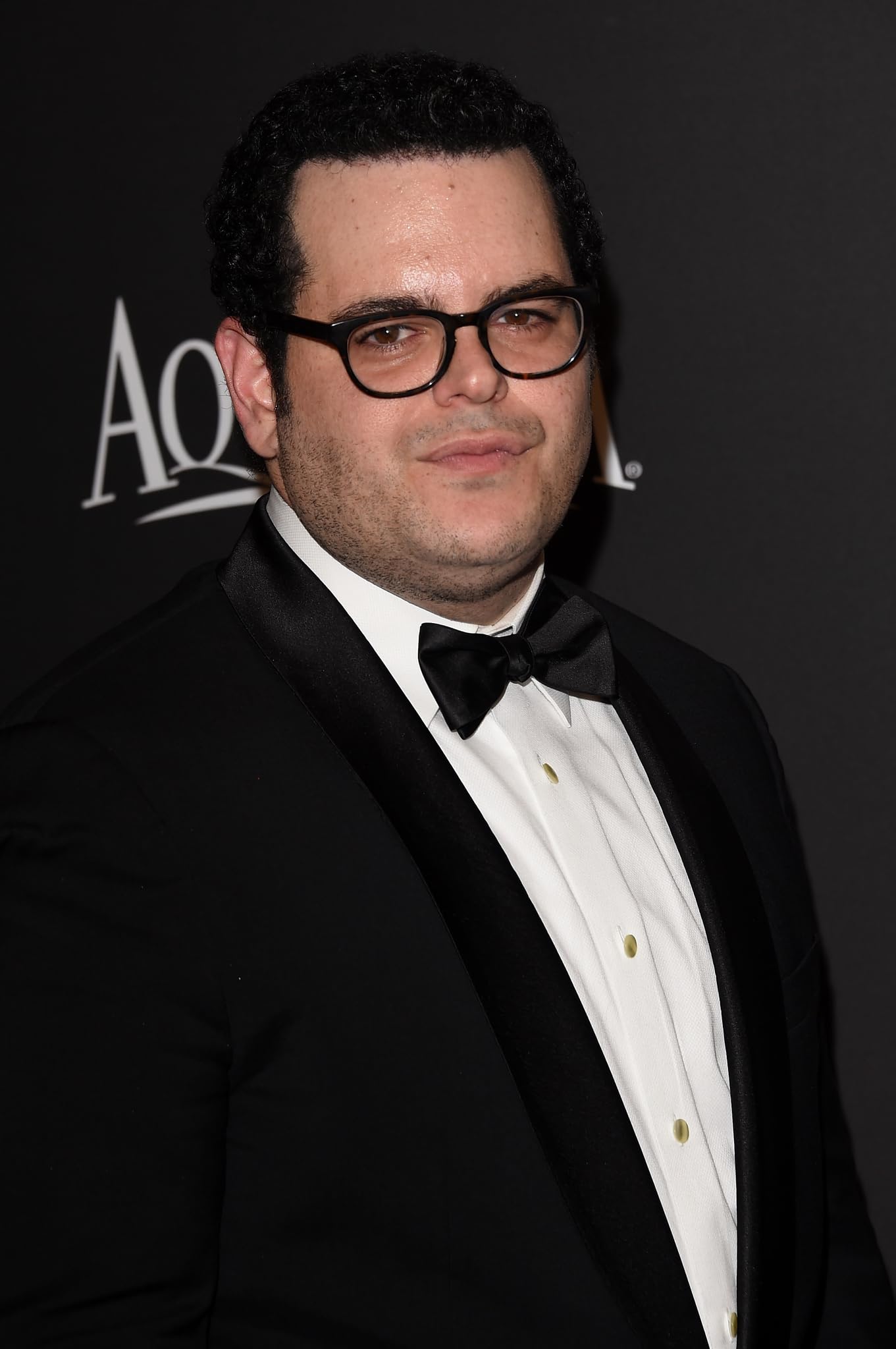 photo-Josh Gad 2015