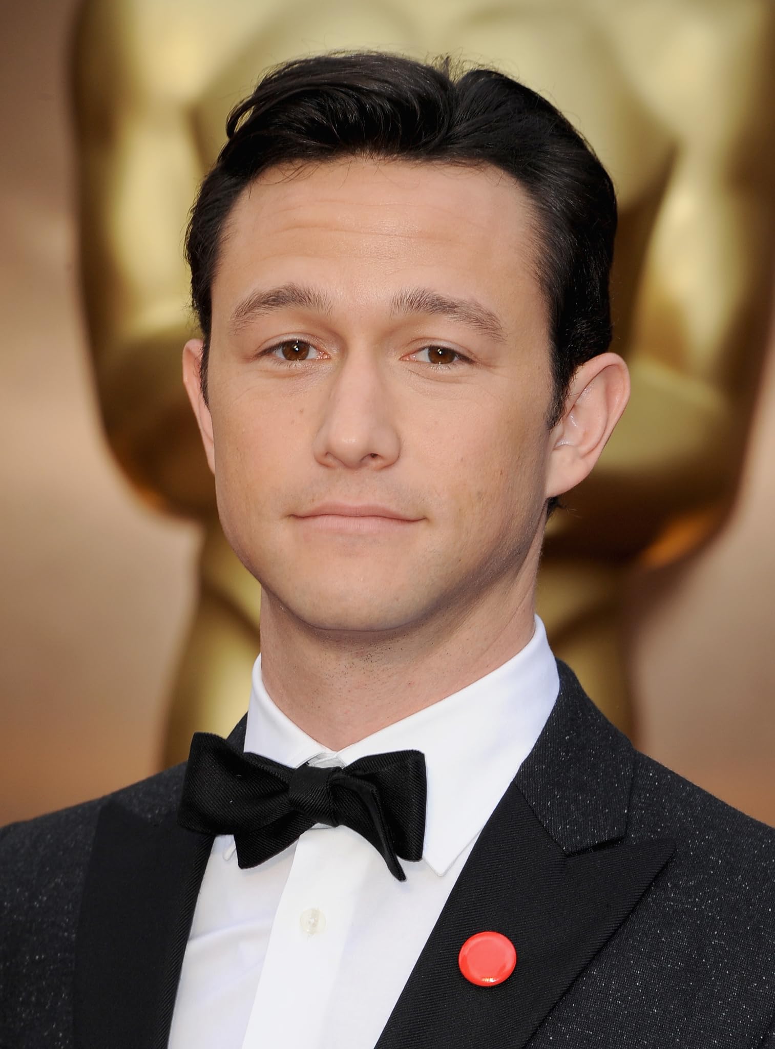 photo-Joseph Gordon-Levitt 2014