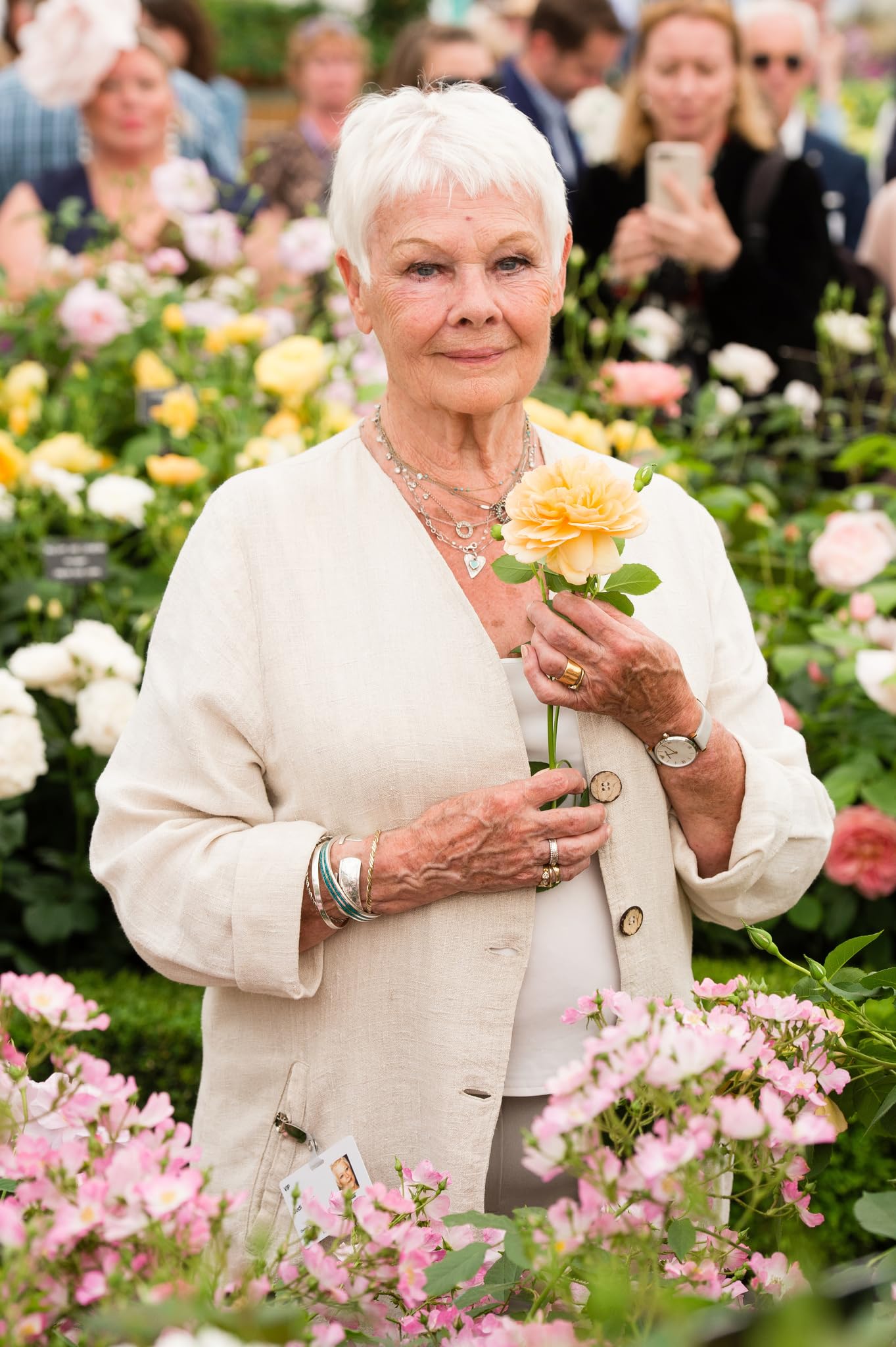 photo-Judi Dench 2017