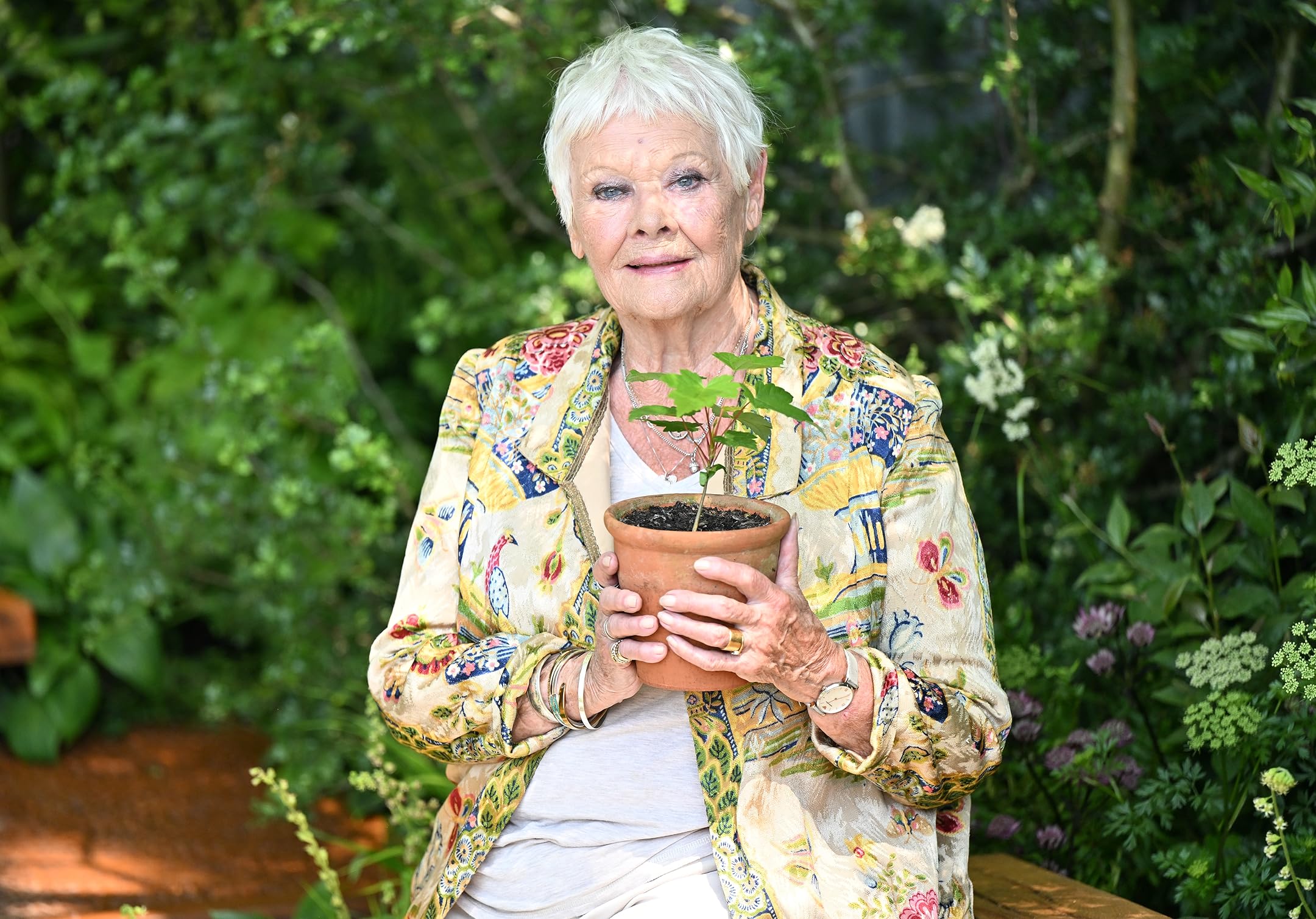 photo-Judi Dench 2024