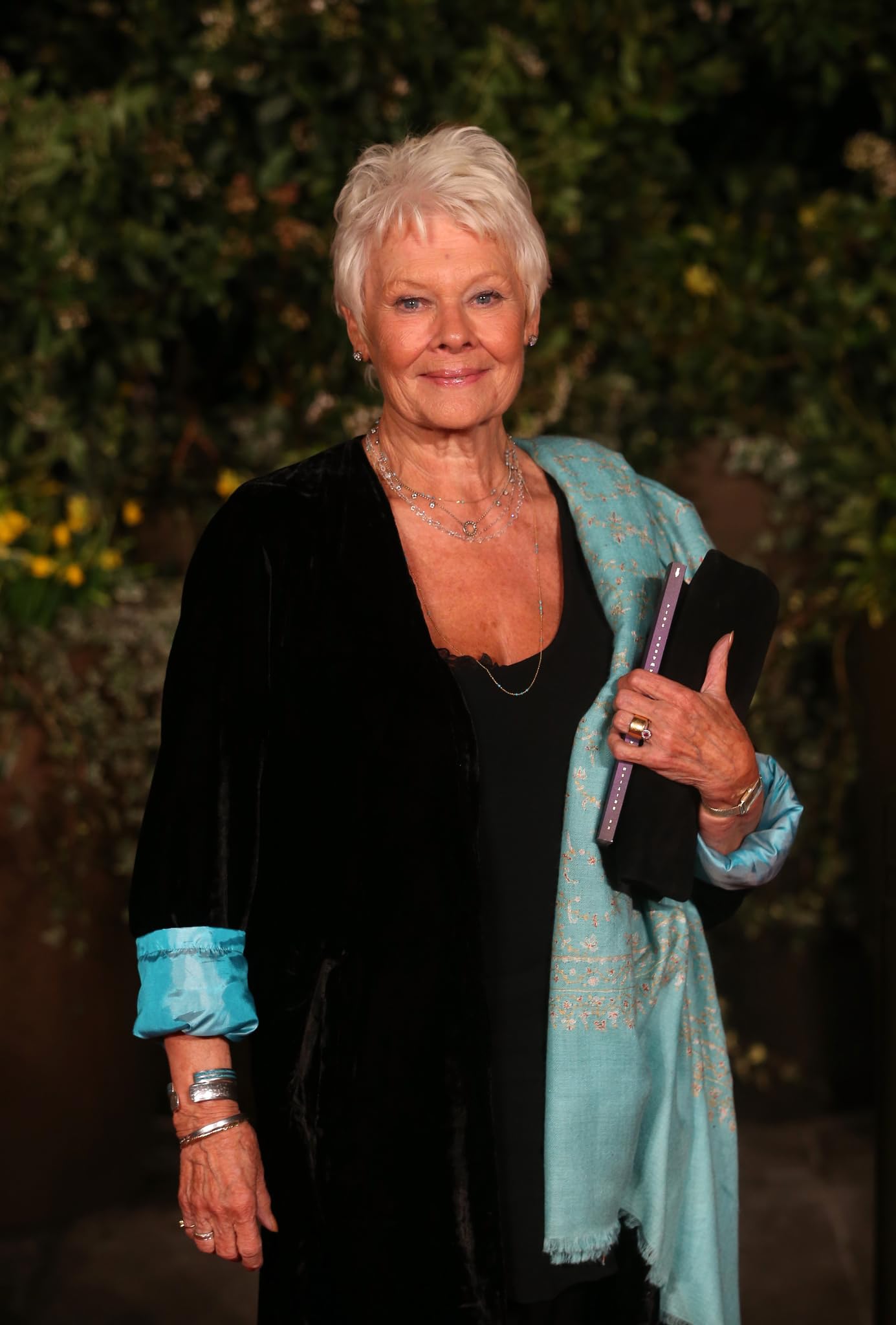 photo-Judi Dench 2014