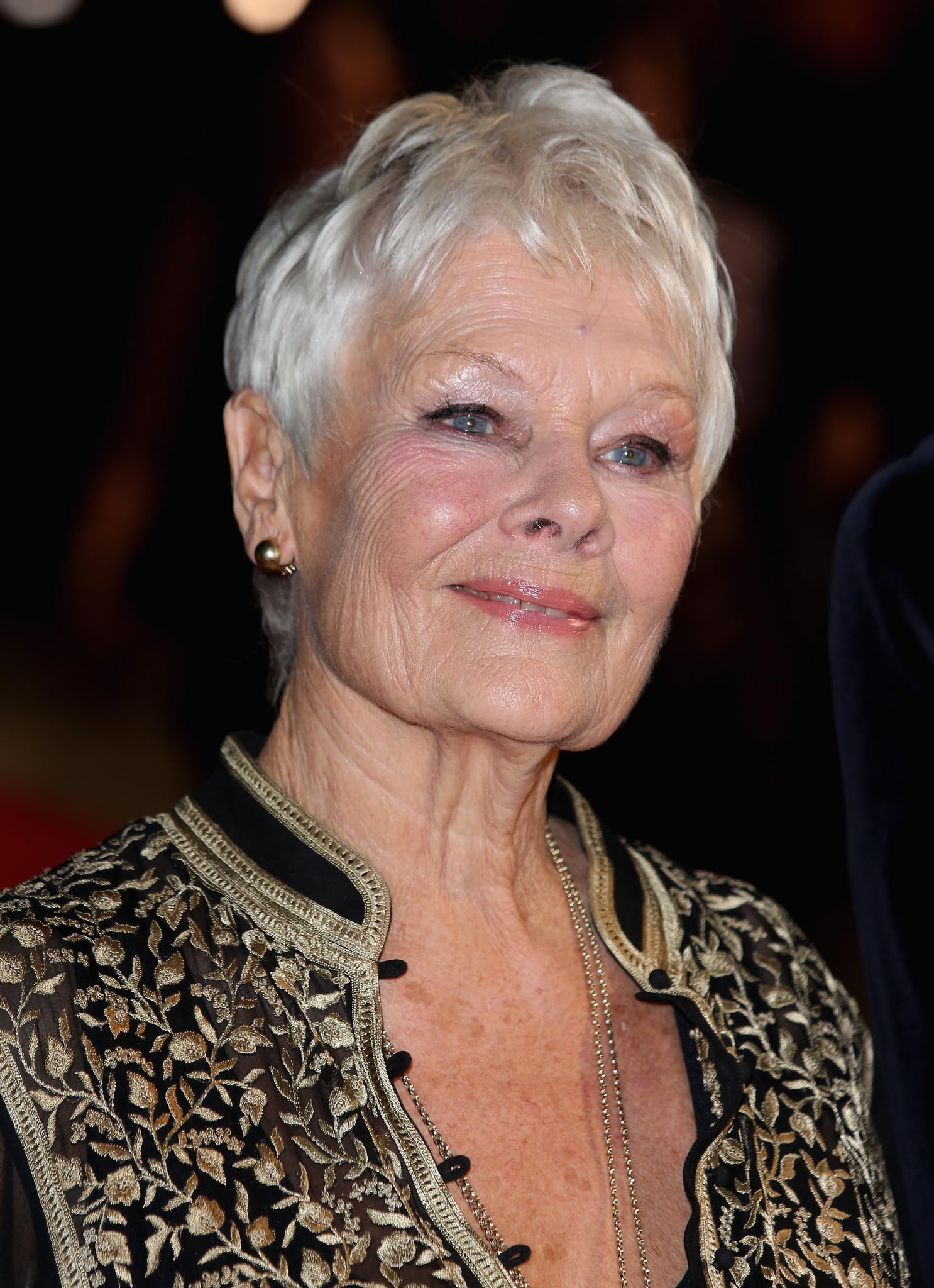 photo-Judi Dench 2013