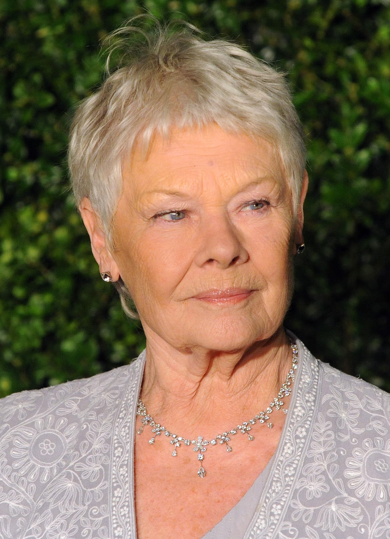 photo-Judi Dench 2012
