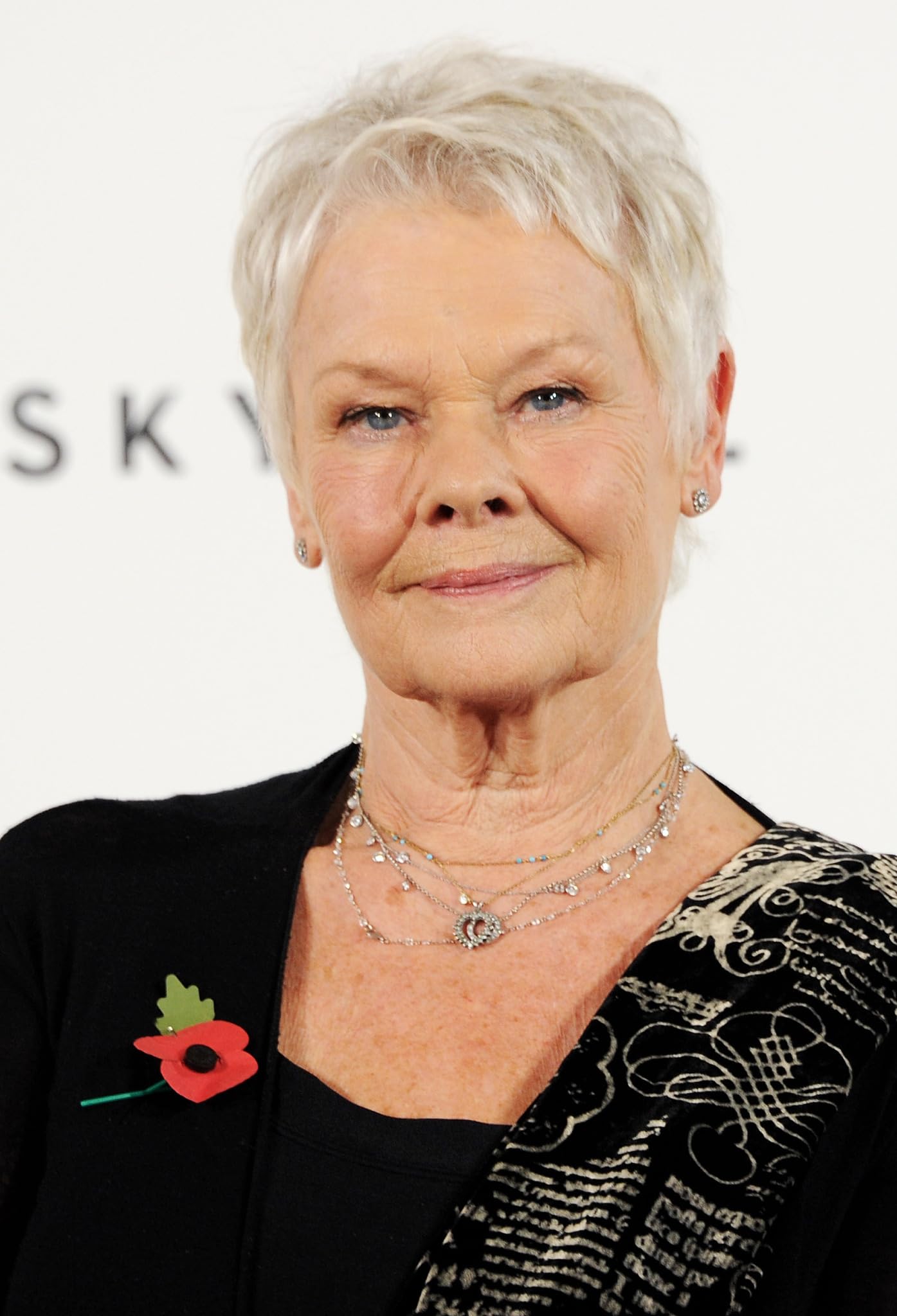 photo-Judi Dench 2012