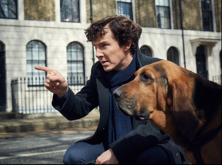 photo-Benedict Cumberbatch 2010