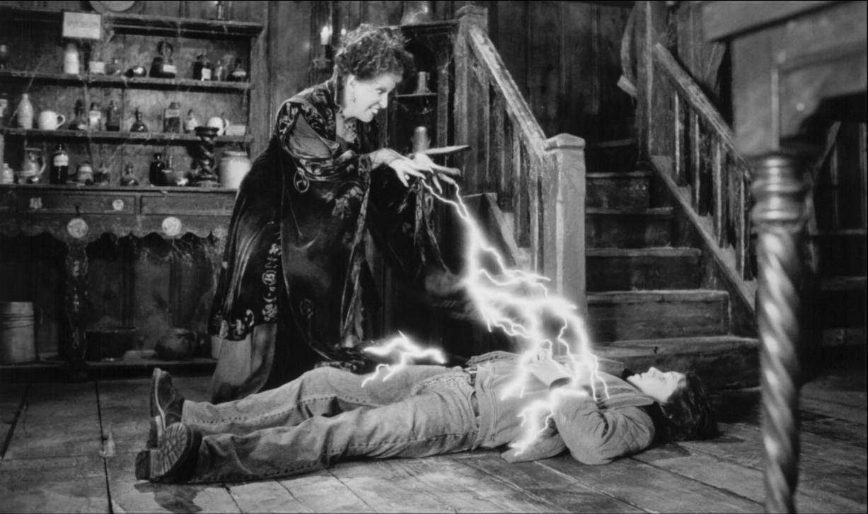 photo-Bette Midler 1993