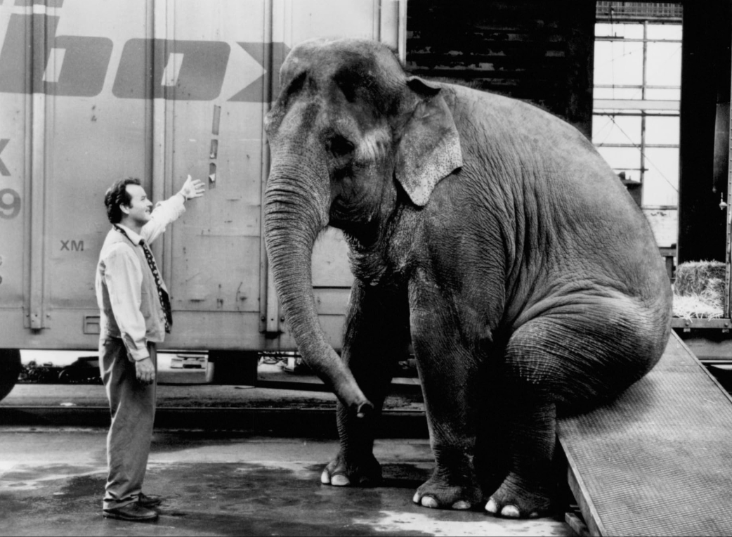 photo-Bill Murray 1996