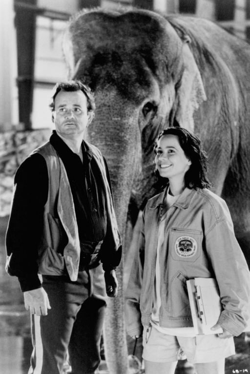 photo-Bill Murray 1996