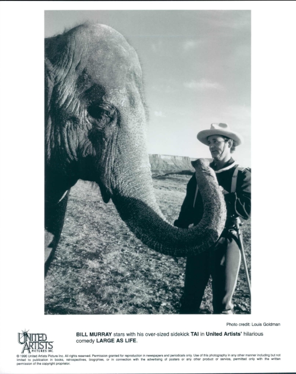 photo-Bill Murray 1996