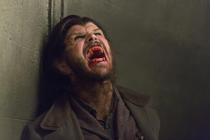 photo-Josh Hartnett 2015